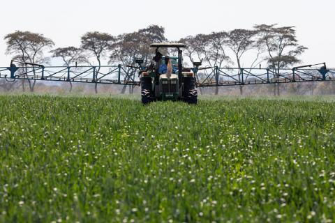 Вчені розробляють пестициди на основі природних сполук Рис.1