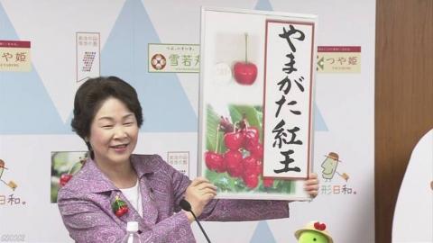 Японці вивели вишню з найбільшими в світі ягодами Рис.1