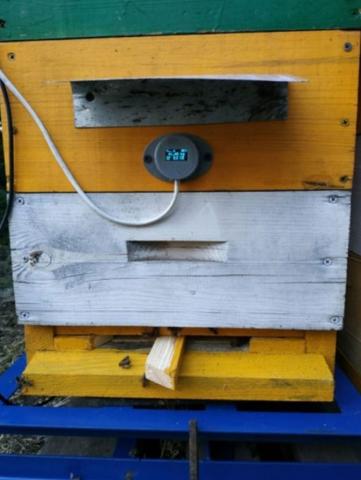Група бджолярів з Миколаївщини розробила прототип “розумного вулика” Рис.1