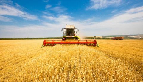 Жнива-2019: В Україні зібрано 19,7 млн тонн зерна нового врожаю Рис.1