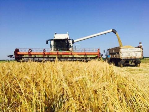 Жнива-2019: В Україні зібрано понад 11,3 млн тонн зерна Рис.1