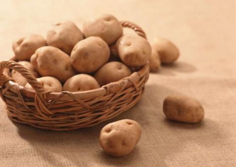 На Волині презентували нові сорти картоплі Рис.1