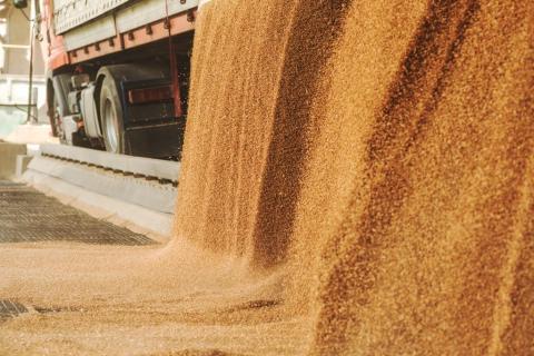 Представлено калькулятор розрахунку втрат зерна та продуктів його переробки при зберіганні за новим законодавством Рис.1