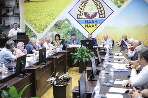 Україна має всі можливості для збільшення виробництва рису, - Шеремета Рис.1