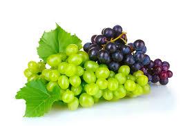 На півдні України викорчовують сотні гектарів виноградників Рис.1