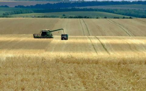 Жнива-2019: В Україні зібрано 70% зерна Рис.1