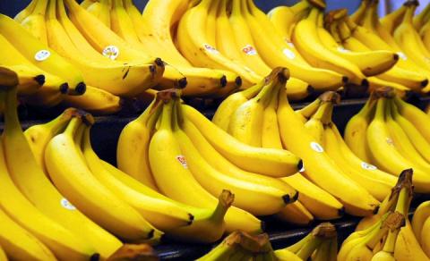 Нова хвороба загрожує врожаям бананів в світі Рис.1