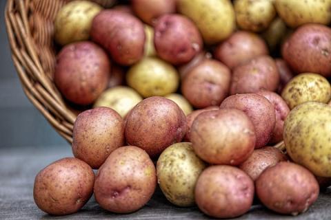 В Україні ціни на картоплю продовжують рости Рис.1