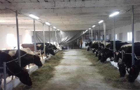 На Тернопільщині з'явилися перші сімейні молочні ферми Рис.1