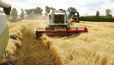 Урожай-2019: В Україні вже зібрано понад 75 млн тонн зерна Рис.1