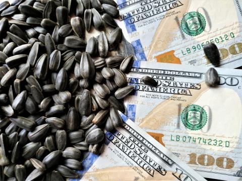 «Аграрний фонд» запускає електронні торги зерновими   Рис.1