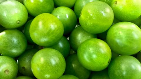 Новий, зелений дозріваючий сорт томатів " Jaded" Рис.1