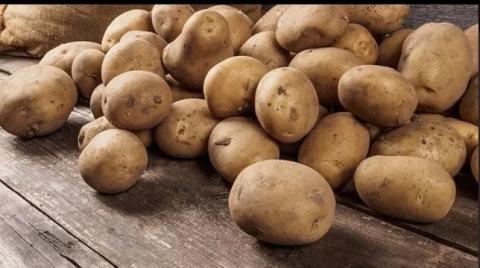 Україна ризикує втратити власне виробництво картоплі - експерт Рис.1