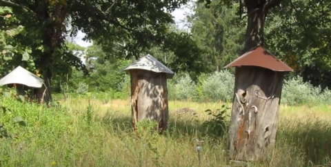 В Україні створили музей лісового бджільництва Рис.1