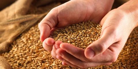 Експорт української пшениці перевищив 4 млн тонн Рис.1