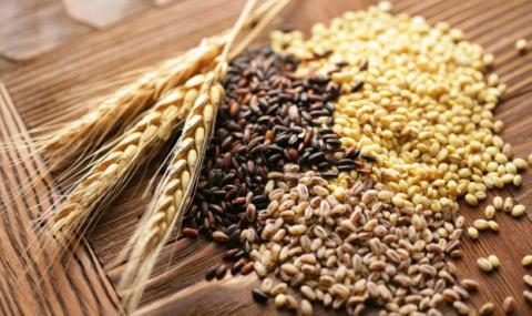 АТ «ДПЗКУ» впроваджує пільговий період на зберігання зернових та олійних культур Рис.1