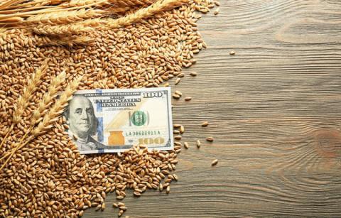 УЗА категорично проти введення державного регулювання цін на зерно Рис.1