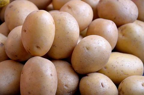 В Україні почала дорожчати картопля Рис.1