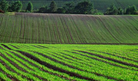 На Черкащині здійснили агрохімічне обстеження понад 95% сільгоспугідь Рис.1