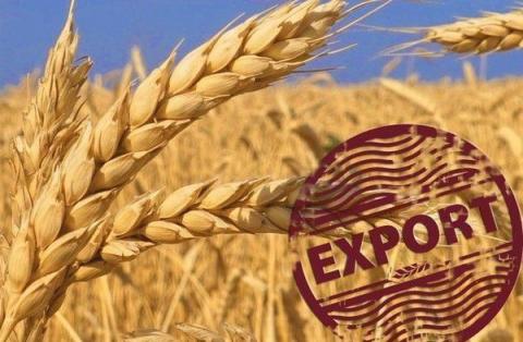 Названо топ-10 експортерів зерна з України в поточному сезоні Рис.1