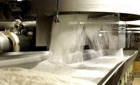 Українські цукрові заводи виробили 945,2 тис. т цукру Рис.1