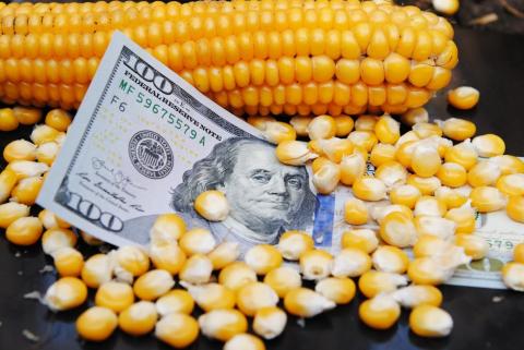 Ціни на українську кукурудзу на FOB перевищили максимум за 7,5 років Рис.1