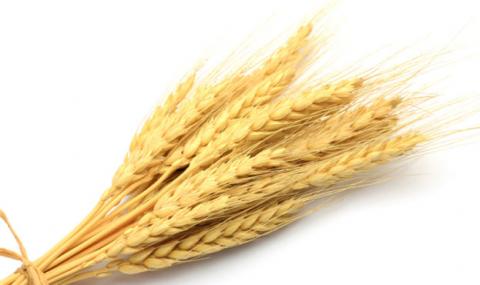 В перший тиждень нового року ціни на пшеницю оновили черговий максимум Рис.1