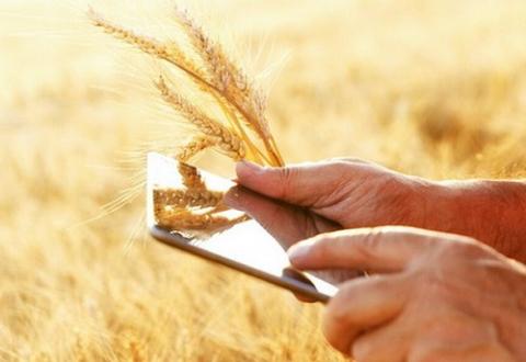 Agricom Group оптимізував роботу всіх агрономічних відділів Рис.1