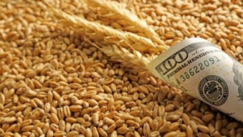 Ціни пшеницю рухаються в різних напрямках Рис.1