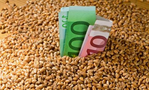 Фундаментальні чинники зупинили спекулятивне зростання цін на пшеницю Рис.1