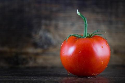 Новий спосіб поліпшити якість зібраних томатів придумали американські вчені Рис.1