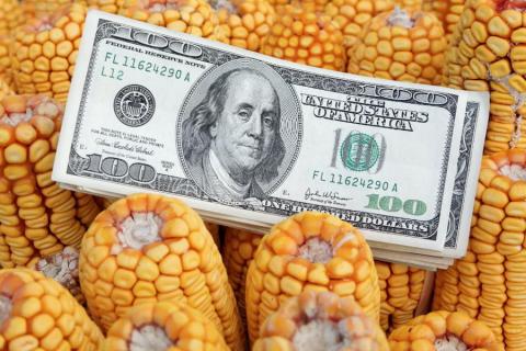Різке скорочення виробництва етанолу не призвело до зниження цін на кукурудзу в США Рис.1