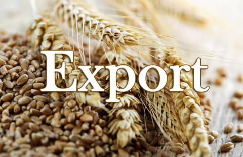 Експорт українських зернових та зернобобових перевищив 33 млн тонн Рис.1