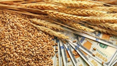Падіння біржових цін на пшеницю прискорюється Рис.1