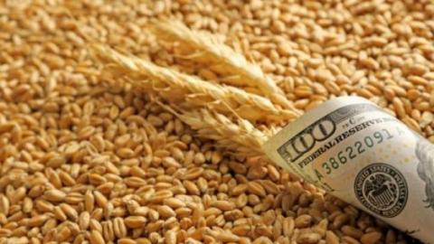 Пшеничні котирування виросли внаслідок погіршення стану посівів озимини в США Рис.1