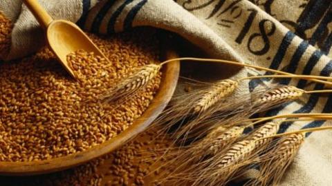 Україна відправила на експорт майже 35 млн тонн зерна Рис.1