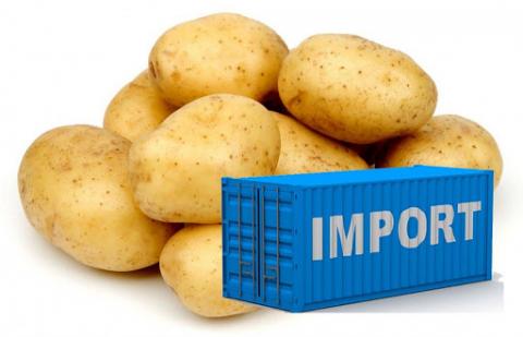 Україна  вже другий сезон  продовжує нарощувати імпорт картоплі Рис.1
