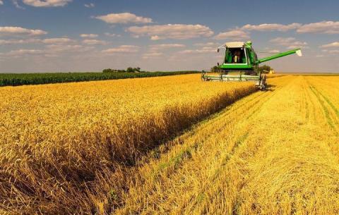 В Україні прогнозується рекордний урожай зернових культур, — Мінекономіки Рис.1