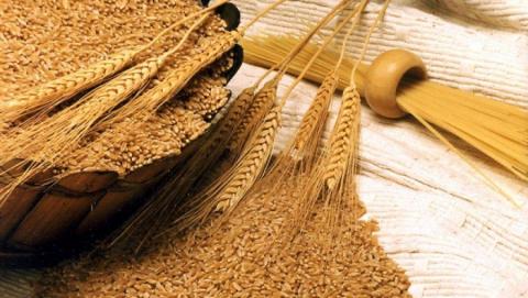 Український експорт зерна пройшов 40-мільйонний рубіж Рис.1
