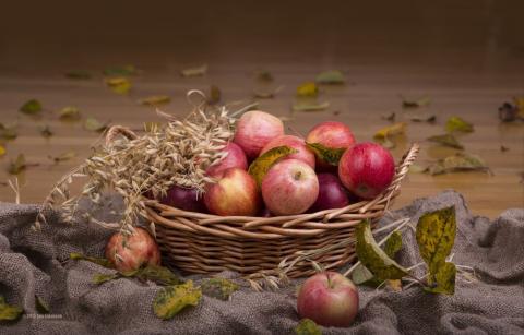 В цьому сезоні урожай яблук збільшиться на 20-40% — експерт Рис.1