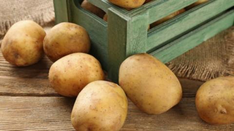Завод із переробки картоплі на Львівщині планують запустити у листопаді Рис.1