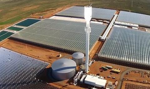 Sundrop Farms використовує сонячну енергію для вирощування помідорів в австралійській пустелі Рис.1
