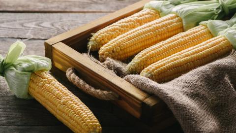 В Україні закупівельні ціни на кукурудзу старого врожаю знизилися Рис.1
