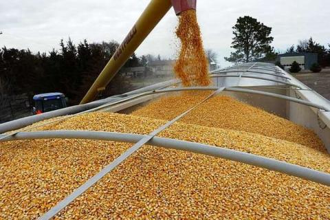 Експорт українського зерна нового сезону практично досяг 1,8 млн тонн Рис.1