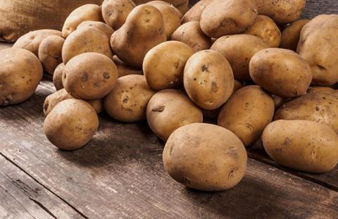 «Контінентал Фармерз Груп» передбачає потужності для мийки картоплі Рис.1
