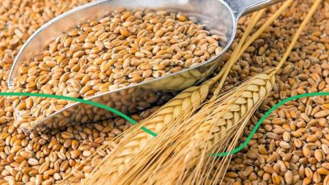 Прогнози спекотної погоди  розігрівають ціни на пшеницю Рис.1