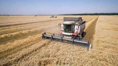 Через посуху врожайність ярої пшениці в США може знизитись на третину Рис.1