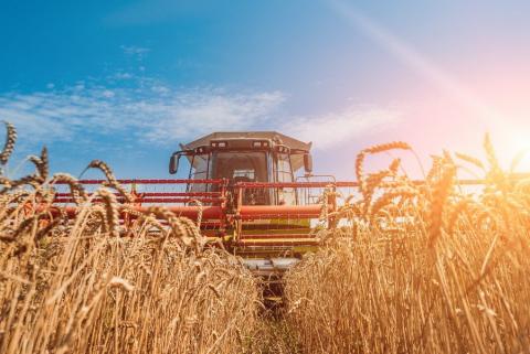На Полтавщині аграрії закінчили збирання ранніх зернових та зернобобових культур Рис.1