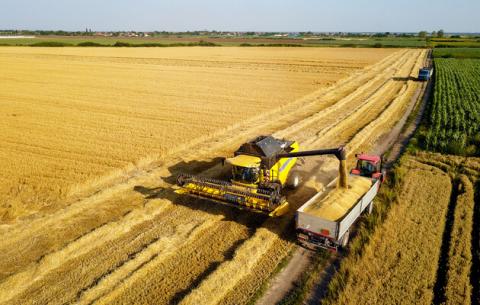  На Вінниччині намолотили перший мільйон тонн зерна Рис.1