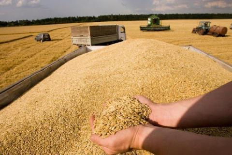 Прогнози скорочення світового виробництва та запасів пшениці штовхають ціни догори Рис.1